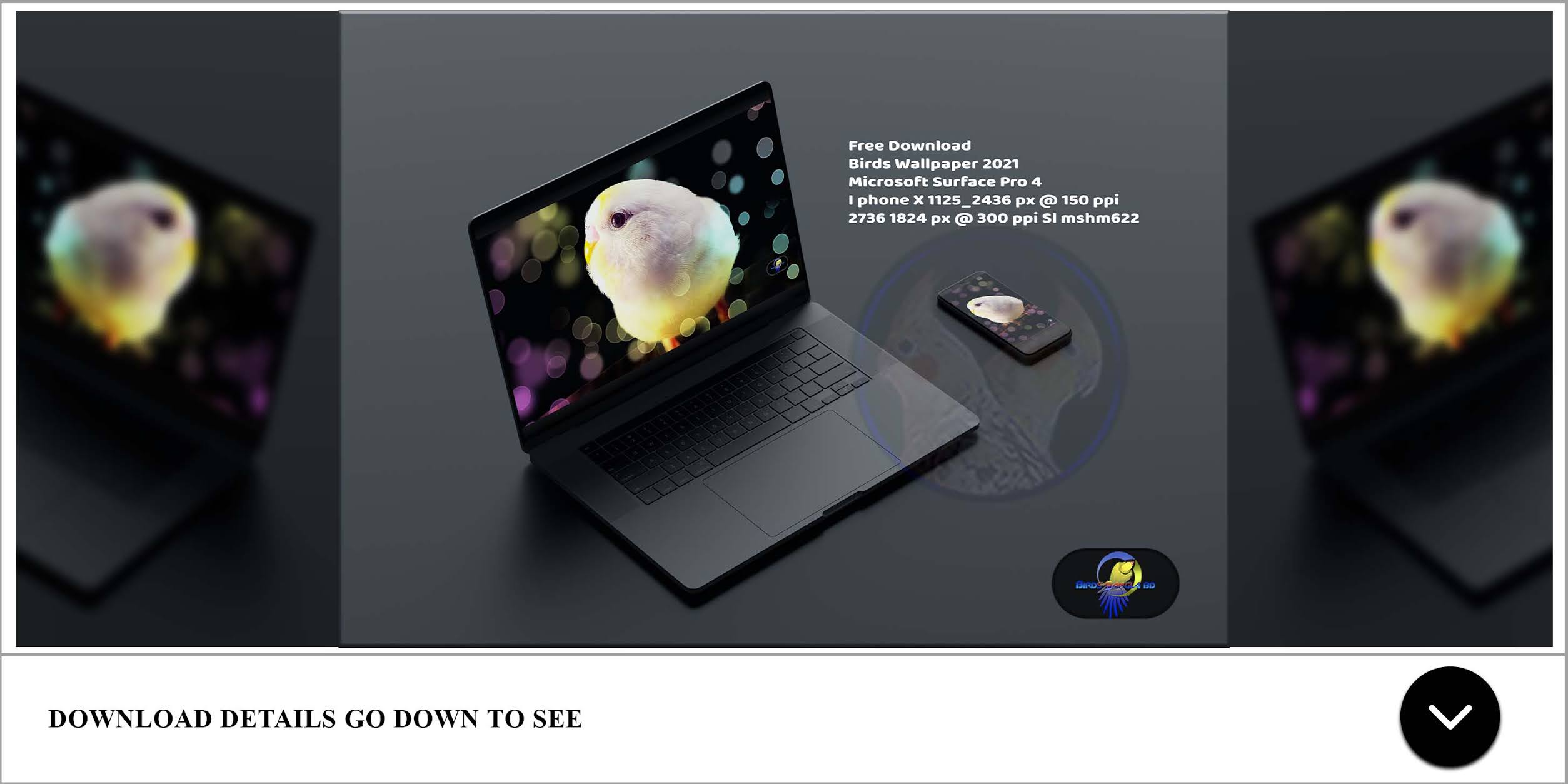 Search through thousands of templates, mockups and icons! Hd Laptop Wallpapers Microsoft Surface Pro 4 3 Birds Wallpaper Sl Mshm622